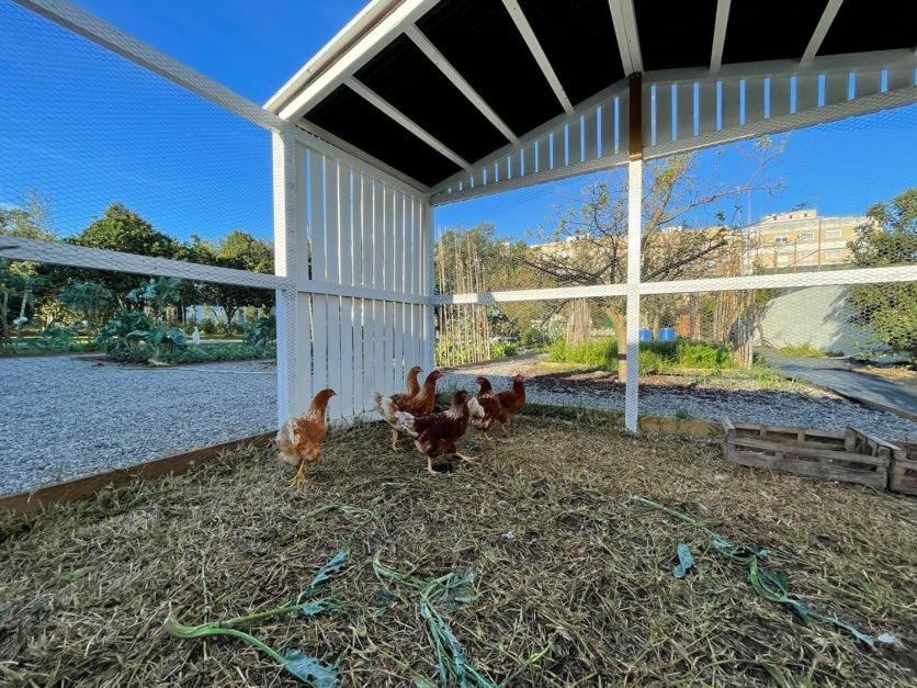 70'S Wood House Ξενοδοχείο Maía Εξωτερικό φωτογραφία